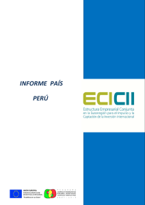 informe país perú
