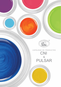 pulsar cni - CNI Corporation