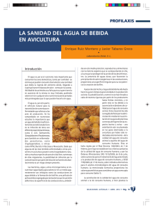 VER PDF - Selecciones Avícolas