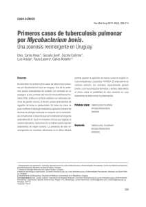 Primeros casos de tuberculosis pulmonar por Mycobacterium bovis.