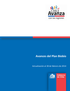 Informe de avances Plan Región de Biobío