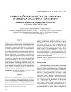 Identificación de especies de atún (Thunnus spp)