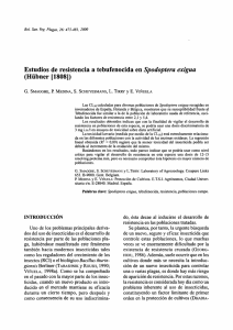 Estudios de resistencia a tebufenocida en Spodoptera exigua