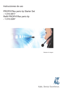 1.010.0817 Refill PROPHYflex perio tip - 1.010.0287