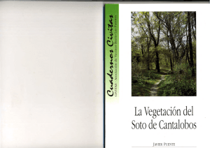 La vegetación del soto de Cantalobos