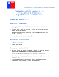 TEMARIO PROCESO 2013 DEC. 211 PRUEBA