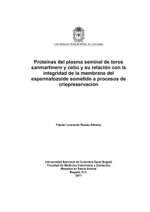 Proteínas del plasma seminal - Universidad Nacional de Colombia