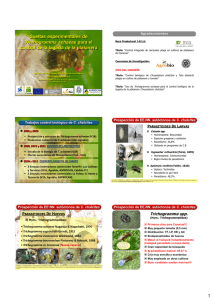Enemigos naturales de Noctuidos plagas en el Sur de España (Lep
