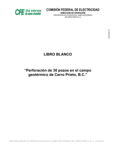LIBRO BLANCO “Perforación de 30 pozos en el campo geotérmico