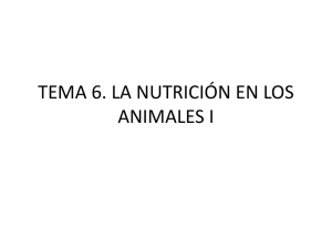 tema 10. la nutrición en los animales i