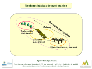 Nociones básicas de geobotánica - Universidad Politécnica de Madrid