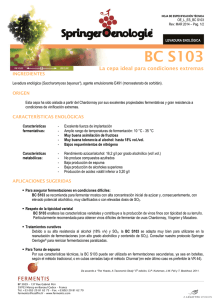 BC S103 - Fermentis