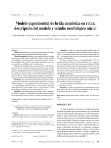 Modelo experimental de brida amniótica en ratas: descripción del