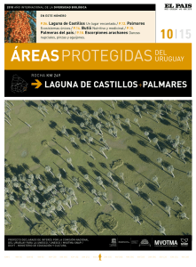 Laguna de Castillos y Palmares - Museo Nacional de Historia Natural