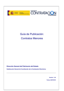 Plataforma de Contratación del Sector Público. Guía de publicación