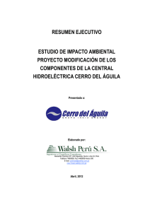 resumen ejecutivo - Ministerio de Energía y Minas