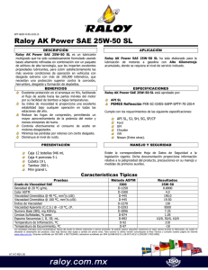 Raloy AK Power SAE 25W