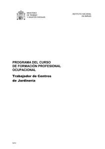 PROGRAMA DEL CURSO DE FORMACIÓN PROFESIONAL