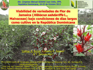Jamaica (Hibiscus sabdariffa L.