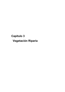 3 Capítulo 3 Vegetación Riparía