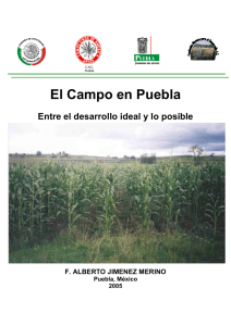 El campo en Puebla