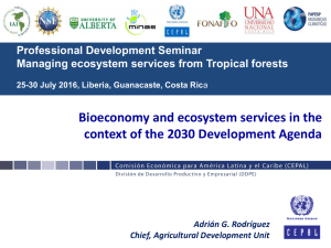 Bioeconomy and ecosystem services in the context of the 2030