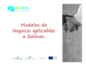 Modelos de Negocio Salinas_ECOSAL