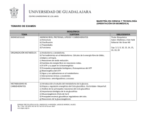 TEMARIO DE EXAMEN BIOQUÍMICA TEMA SUBTEMA