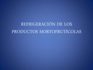 REFRIGERACIÓN DE LOS PRODUCTOS HORTOFRUTÍCOLAS