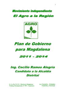 Plan de Gobierno Municipal MAGDALENA el agro a la región