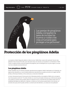 Protección de los pingüinos Adelia