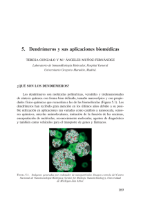 5. Dendrímeros y sus aplicaciones biomédicas