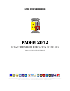 padem 2012 - Transparencia Activa Municipalidad de Bulnes