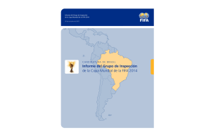 Informe del Grupo de Inspección de la Copa Mundial de