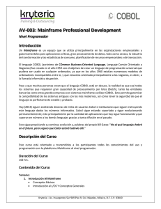 AV-003: Mainframe Professional Development
