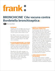 BRONCHICINE® CAe vacuna contra Bordetella