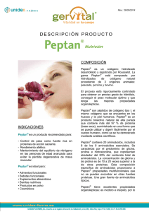 DP PEPTAN-Nutricion - Unidex