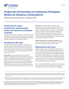 Producción de Hortalizas en Ambientes Protegidos: Medios