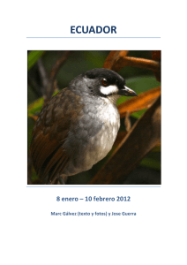 Ecuador 2012 - Reservoir Birds
