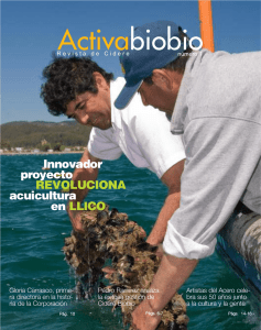 Activabiobio - CIDERE BIOBIO