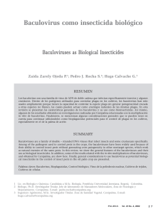 Baculovirus como insecticida biológico / Baculoviruses as biological