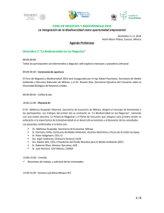 Agenda Preliminar v7 oct español