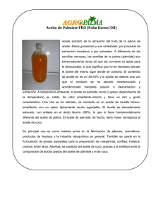 Aceite de Palmiste PKO