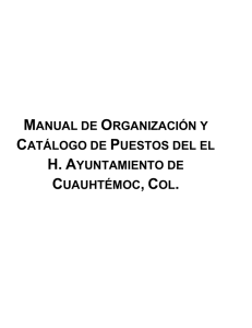 manual de organización y catálogo de puestos del el h