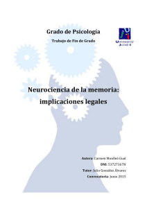 Neurociencia de la memoria: implicaciones legales