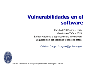 Vulnerabilidades en el software