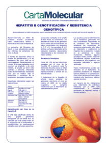 HEPATITIS B GENOTIFICACIÓN Y