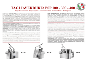 TAGLIAVERDURE: PSP 100 - 300