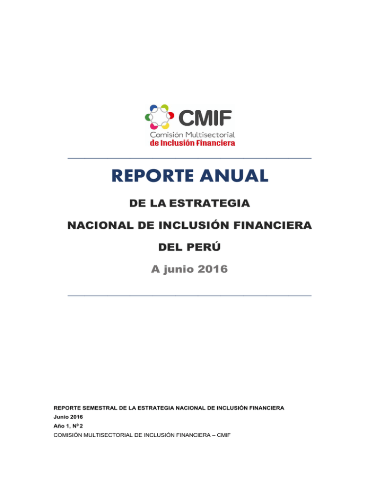 Reporte Semestral Del Plan De Acci N De La Estrategia