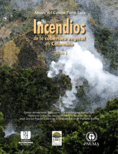 Incendios de la Cobertura Vegetal en Colombia, Tomo I, 2011